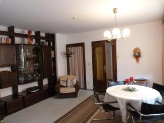 Appartement Schuller - Wagrain - 1