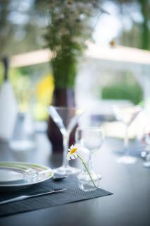 Villa Messanges (piscine & spa) - Messanges - 6