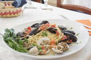 Hotel Caribe - Viareggio - 4