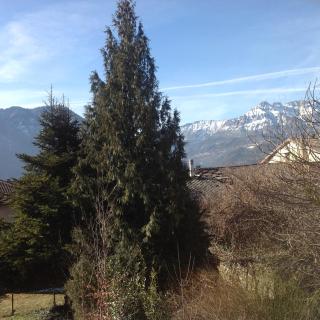 B&B Casa d'Arte - Levico Terme - 2