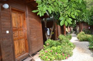 Olympos Doga Pansiyon - Olympos - 5