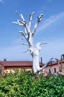 Fattoria Santa Lucia Borgo alla Cantina - San Gervasio - 7