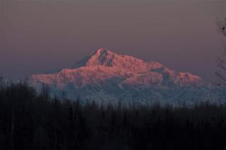 Talkeetna Fireweed Cabins - Talkeetna - 5