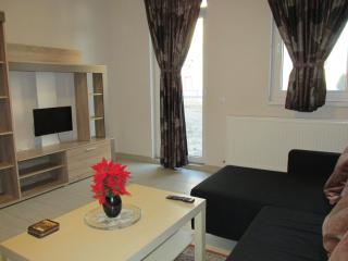 Apartament Daniela - Floreşti - 0