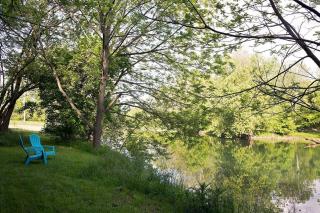 River Bluff Farm Bed and Breakfast - Quicksburg - 2