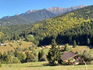 Casa Magnolia - Bran - 4