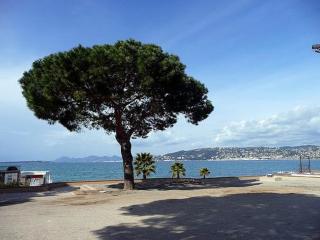 appartement de charme coeur de Juan & Plages - Antibes - 9