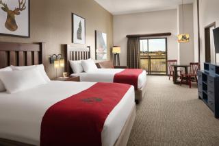 Great Wolf Lodge Grapevine - Grapevine - 3