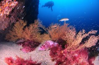 APARTAMENTOs URDAIBAI 2 - 2