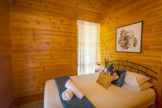 Silky Oak Cottage - Pokolbin - 4