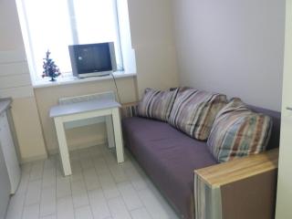 Marka Vovchka Apaartment - Lviv - 3