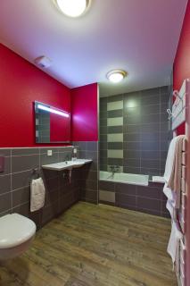 Logis Hôtel LBB - les 2 lacs - Clairvaux-les-Lacs - 4