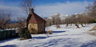 Camping Castillo de Loarre - 4