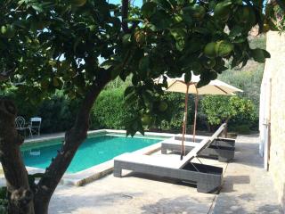 Ses llimoneres - Sóller - 9