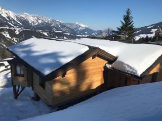 Ski In/Ski Out Ferienhaus Berghof by Schladmingurlaub - Schladming - 8