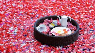 Villa Alba Bali Dive Resort - 3