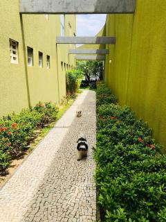 Studio Iracema - APTO 1502 - 2