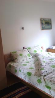 Apartments Vila Selena - Golija - Rudno - 8