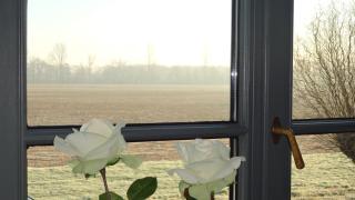 Ferienwohnung Kolb - Issum - 2