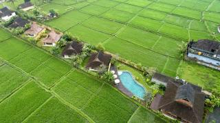 Kabinawa Ubud Villas by Pramana Villas - Ubud - 0