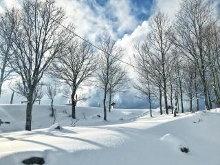 Rifugio Radura del Grano - Plataci - 2