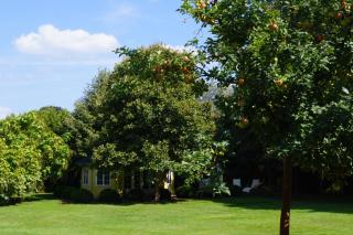 Hotel Villa Wittstock - Burg - 3