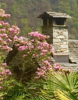 Casa Larice - Mergoscia - 1