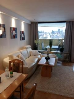 Apartmenthotel Hohegeiß Kasing MIT FREIEM WLAN und Schwimmbad - Hohegeiß - 0