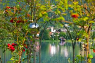 Gästehaus Struggl - Steindorf am Ossiacher See - 5
