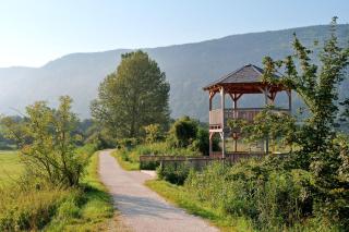 Gästehaus Struggl - Steindorf am Ossiacher See - 6