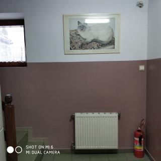 Pokoje Gościnne Sonia - Tuszyn - 6