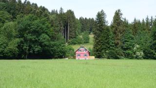 Erwins Ferien-Paradies - 3