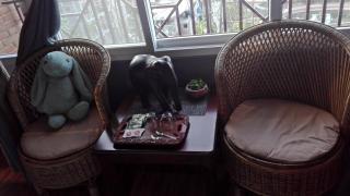Cafe Beyond and Guest House - Bhaktapur - 1