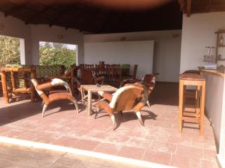 Bees Mouth Gambia - 4