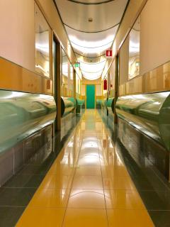 Hotel del Sole-Aversa - Aversa - 9