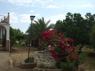 Casa Crisal - 3