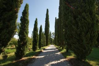 Villa Ghislanzoni - 0