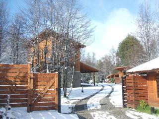 Arbolar, Casas de Montaña- Piscina climatizada - Villa La Angostura - 9