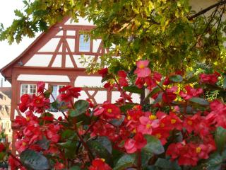 Haus Meersburg Garten - Meersburg - 7