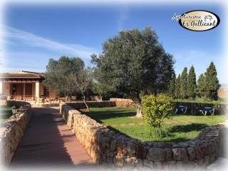 Agroturismo Es Gallicant - Campos - 2