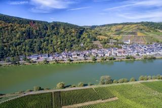 Weingut Pension Gibbert-Pohl - Briedel - 7