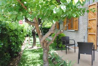 B&B La Gatta Blu - Cattolica - 5