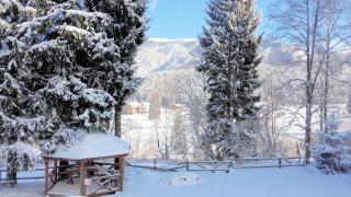 Charming Chalet Timisul de Sus - 6