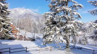 Charming Chalet Timisul de Sus - 5