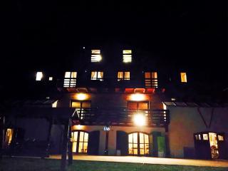 Charming Chalet Timisul de Sus - 8