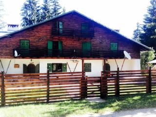 Charming Chalet Timisul de Sus - 4