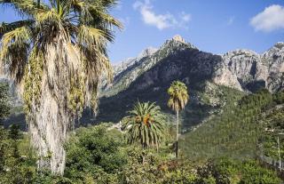Hiker's TownHouse - Sóller - 9