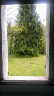 La Feuchelle - Villiers-Louis - 1