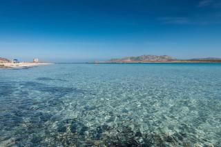 Apartments Stintino - Insel Sardinien 23216 - 4