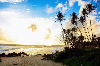 Royal beach villa - Unawatuna - 1
